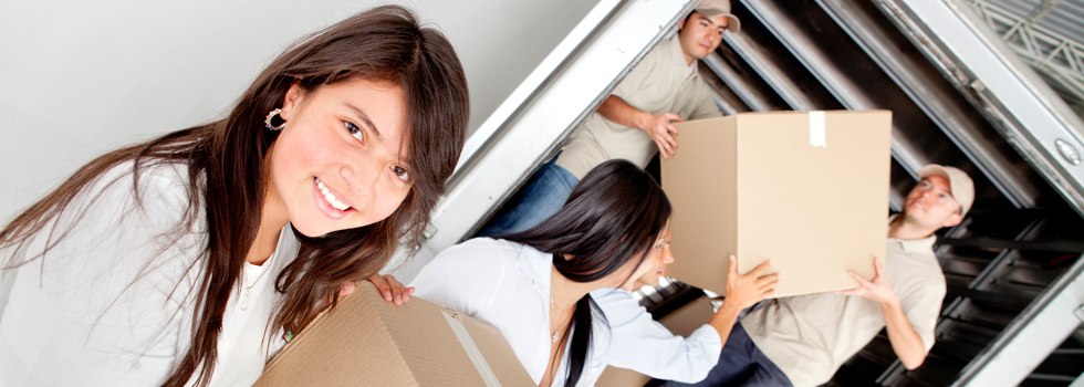 Professional Removalists Pingaring